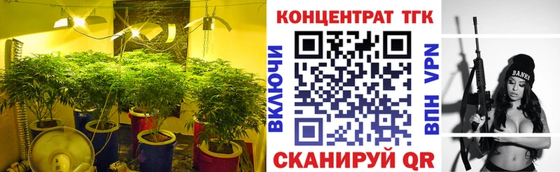 купить наркотики цена  блэк спрут вход  ТГК жижа  Шумерля 